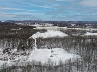 4642 Whiskey Ln, Turin, NY 13473