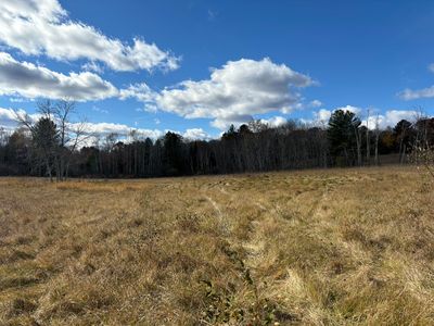 Gray Rd, West Branch, MI, 48661
