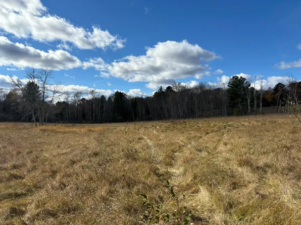 Gray Rd, West Branch, MI 48661