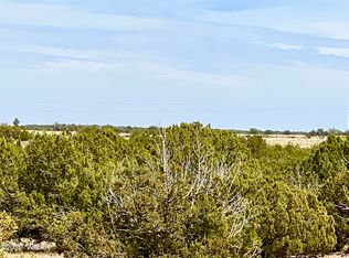 2154 Supancheck Rd, Show Low, AZ 85901