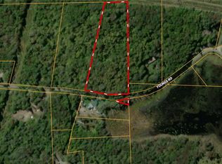 0 Youngs Rd, Roscoe, NY 12776
