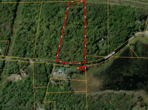 0 Youngs Rd, Roscoe, NY 12776