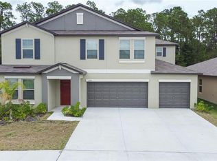 13515 Willow Bluestar Loop, Riverview, FL 33579
