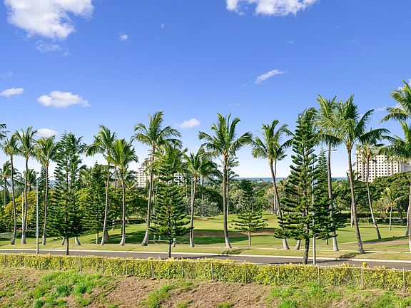 View from the backyard