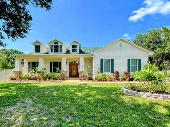 13100 Lilita Ave, Dover, FL 33527