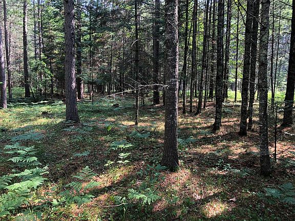 5th image of LOT 52 Norway Ln