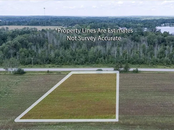 LOT Five Countyline Rd, Hale, MI 48739
