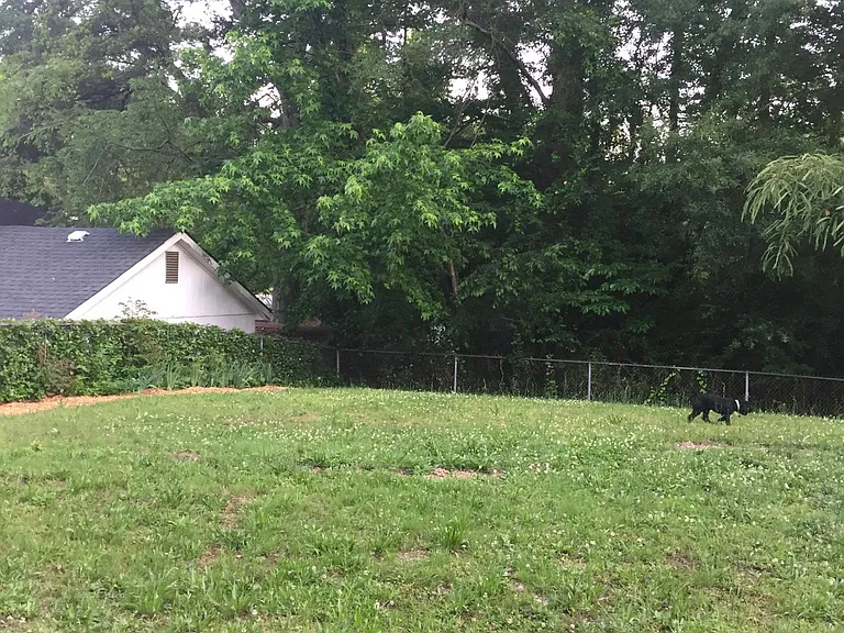 Fenced backyard
