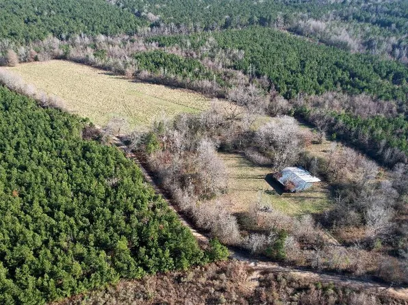 164 Ellison Rd, Rison, AR 71665