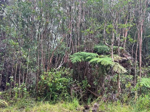 Road 3 Lot 127, Volcano, HI 96785