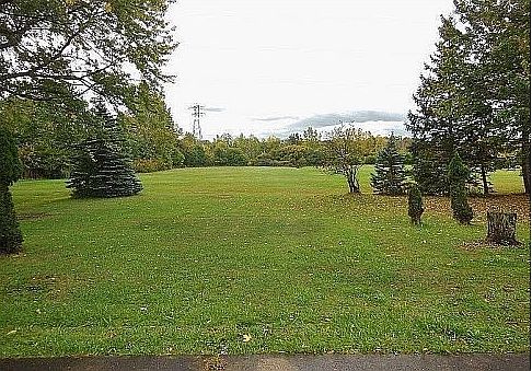 View of the Backyard