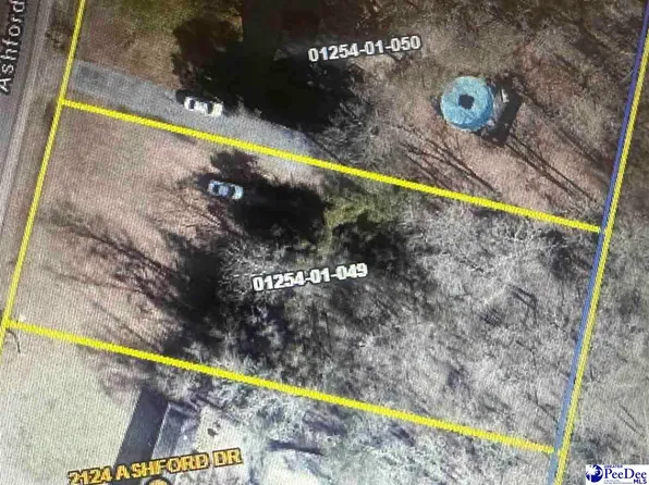 2120 Ashford Dr, Effingham, SC 29541