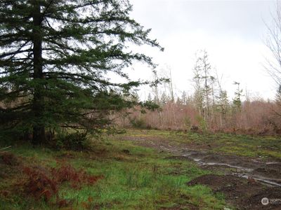 0 Mason Street SW, Olympia, WA, 98512
