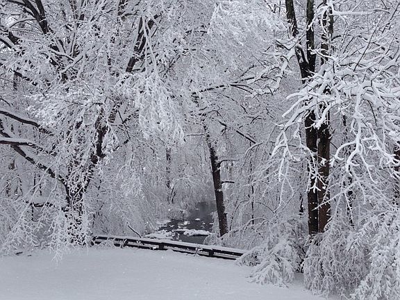 WInter Creek View