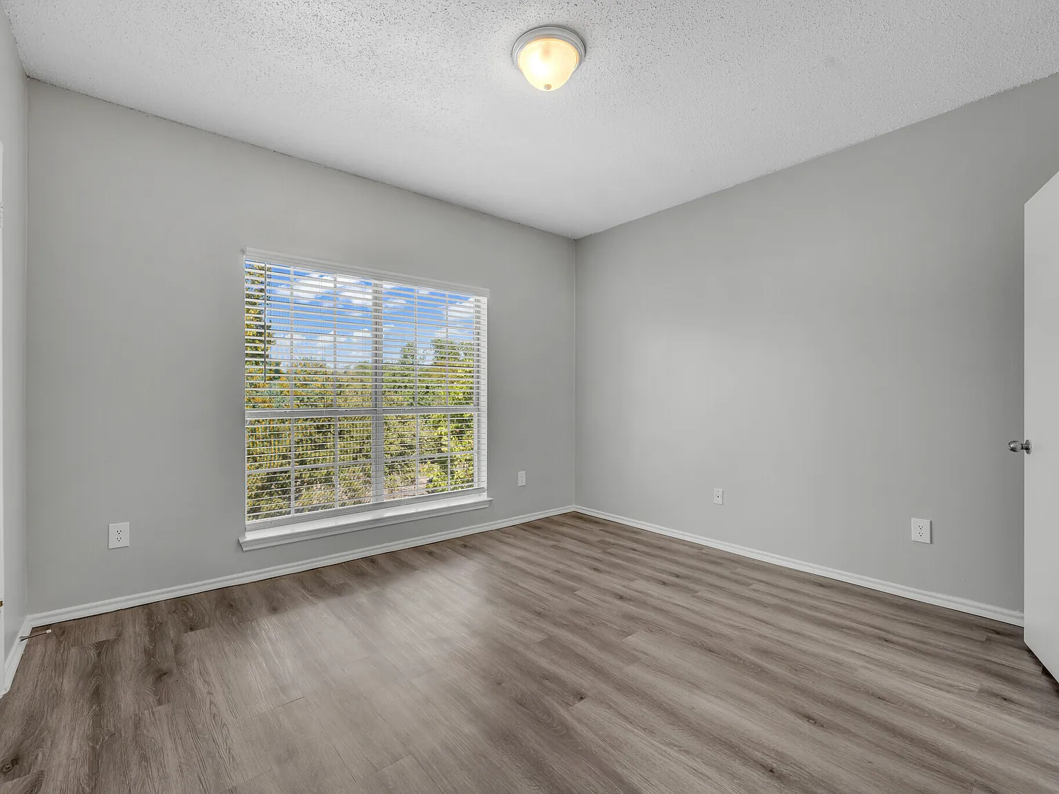 Cottonwood — Photo 4