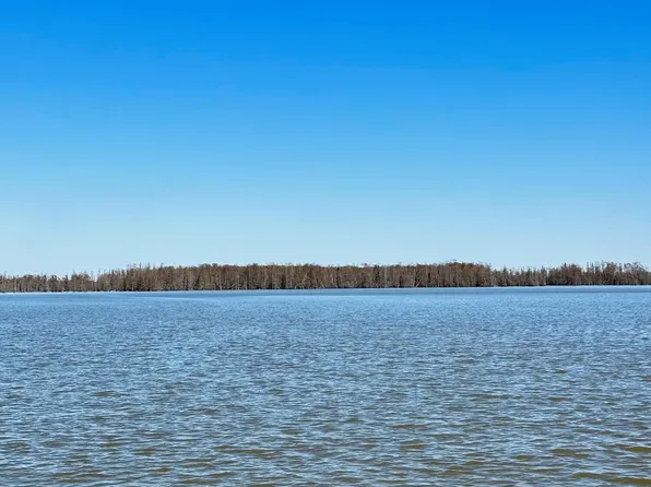 1 Pintail Ln, Elloree, SC 29047