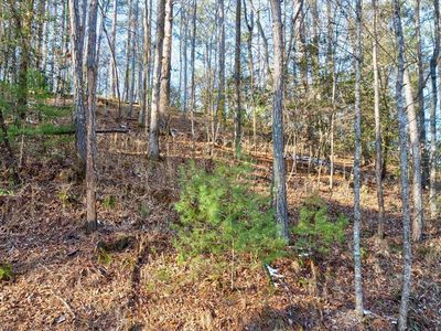 0 Greely Dr #1149-51, Ellijay, GA, 30540