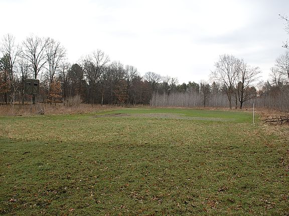 Food Plot