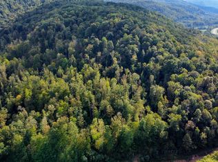 Straight Fork Rd, Pioneer, TN 37847