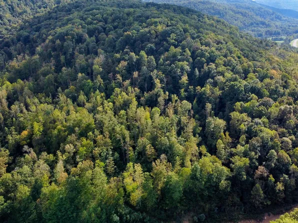 Straight Fork Rd, Pioneer, TN 37847