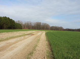 Hwy 561, Halifax, NC 27839