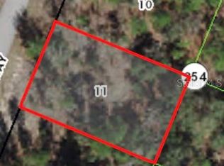 9795 N Dana Way #11, Dunnellon, FL 34433