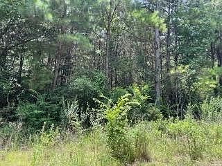 1st image of LOT 5 Fm 556