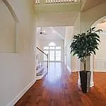 5 bed, 3.5 bath, 3626 sqft, $2,900 — Photo 4