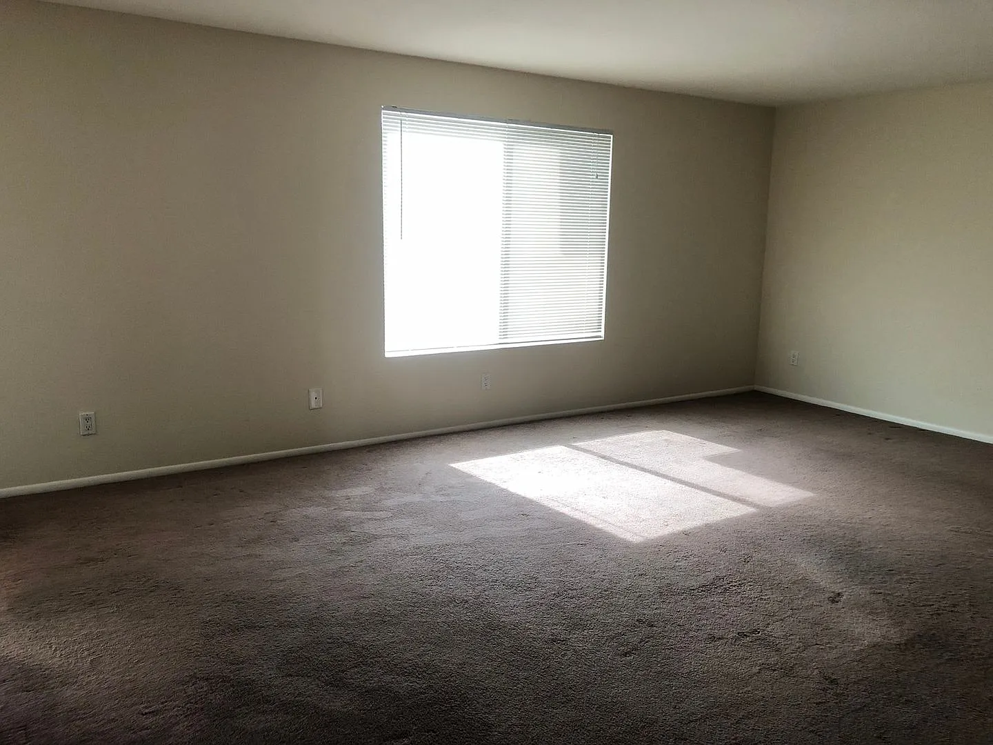 Great 4 bedroom in Dobson Ranch — Photo 3