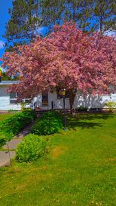 501 E Grant St, Crandon, WI, 54520