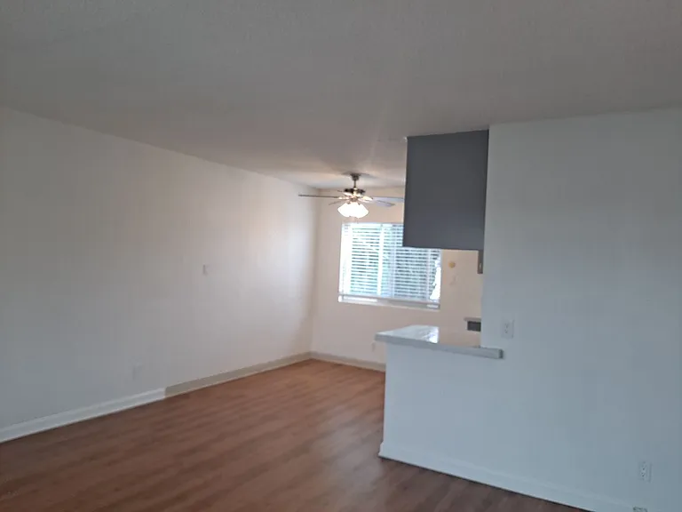 1156 Hornblend St — Photo 4