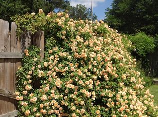 23 Covewood Dr, Conway, AR 72034