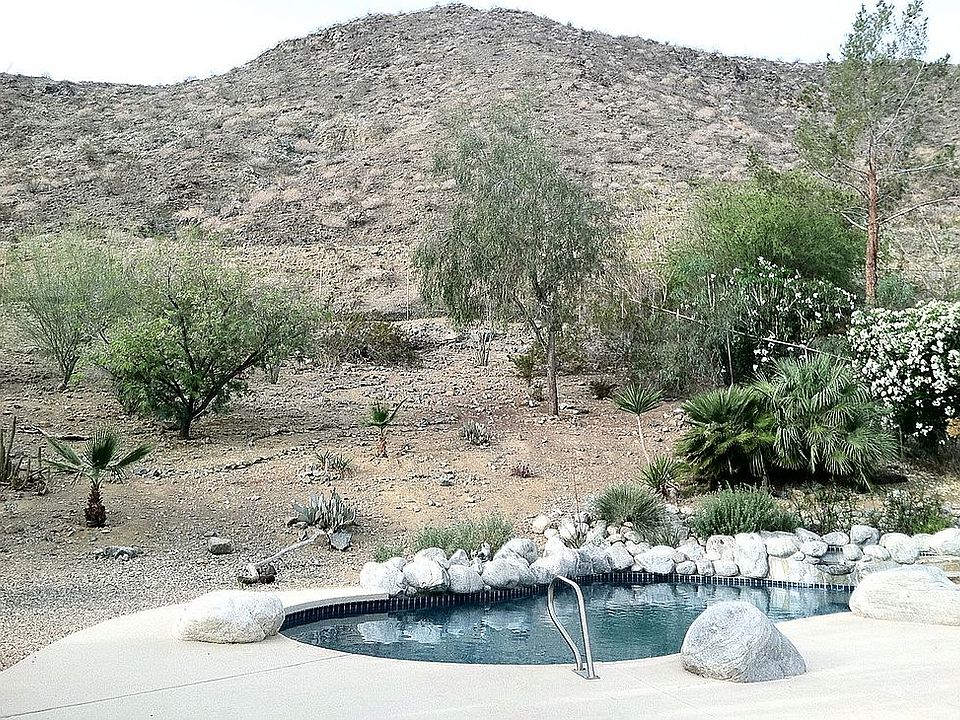 Backyard Southwestern View