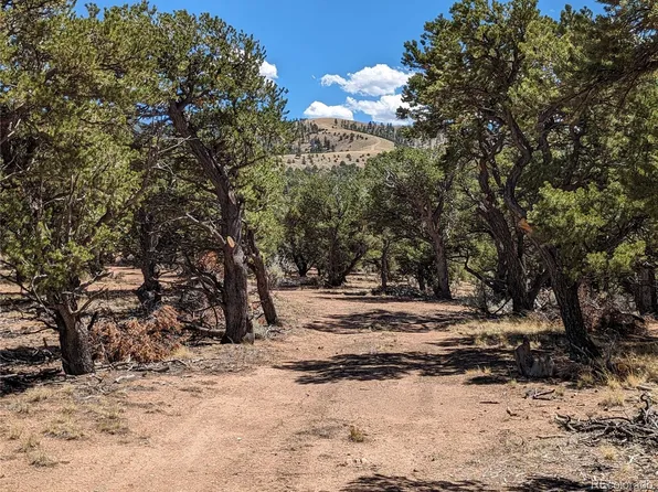 7814 Mallott Road, Fort Garland, CO 81133
