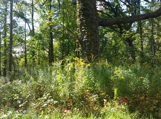 875 Fero Ave NE, Lowell, MI 49331