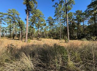 LOT 56 Private Road 6028, Brookeland, TX 75931