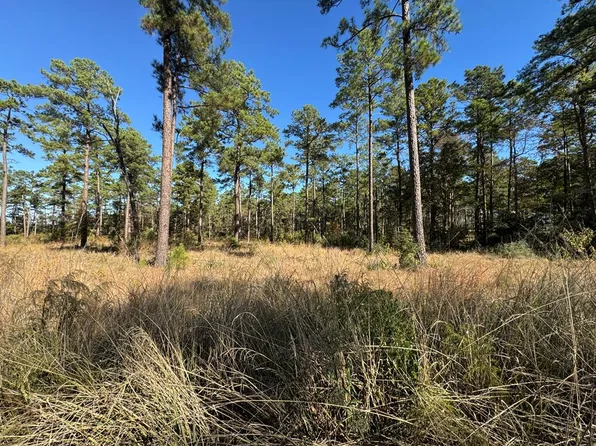 LOT 56 Private Road 6028, Brookeland, TX 75931