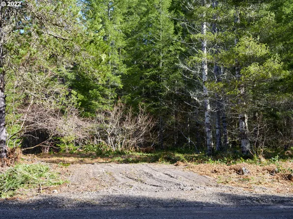 Lahar Ln #8, Cougar, WA 98616