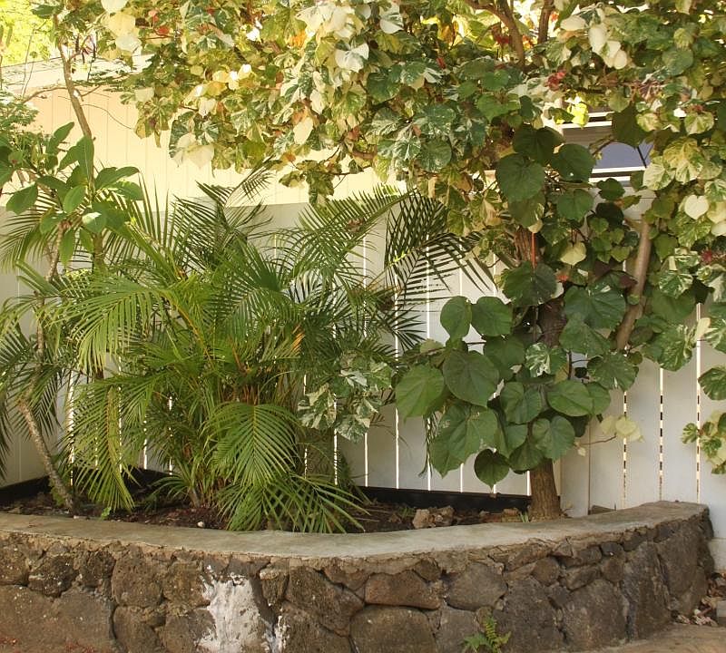 Back Patio Garden