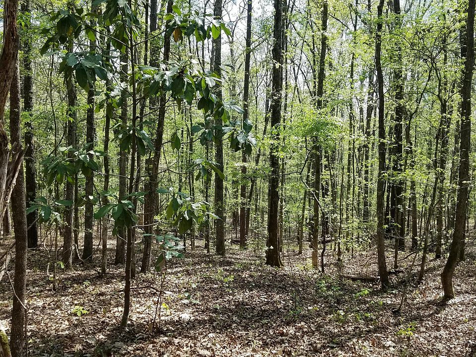 1551 Wadley Rd, Macon, GA 31220 Zillow