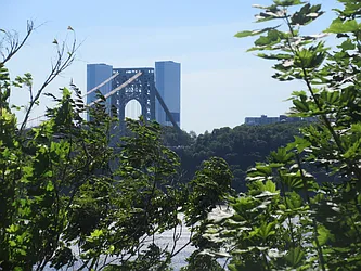 Rented by Gilbert Perez, LREB