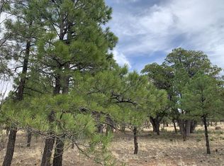 4173 Durango Dr, Happy Jack, AZ 86024