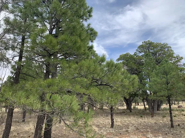 4173 Durango Dr, Happy Jack, AZ 86024