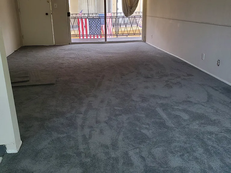 New plush carpet - whole apt Livingroom facing front door/courtyard