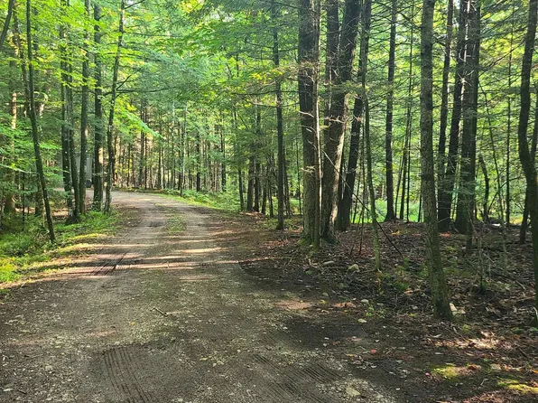 N10149 Bruette Rd, Wausaukee, WI 54177