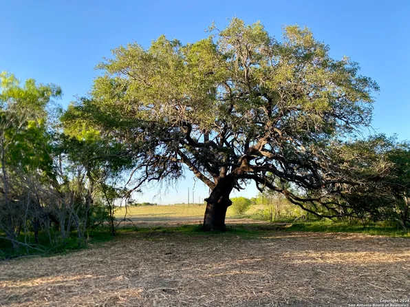 180 Sylas Hayes Loop LOT 21, Pleasanton, TX 78064