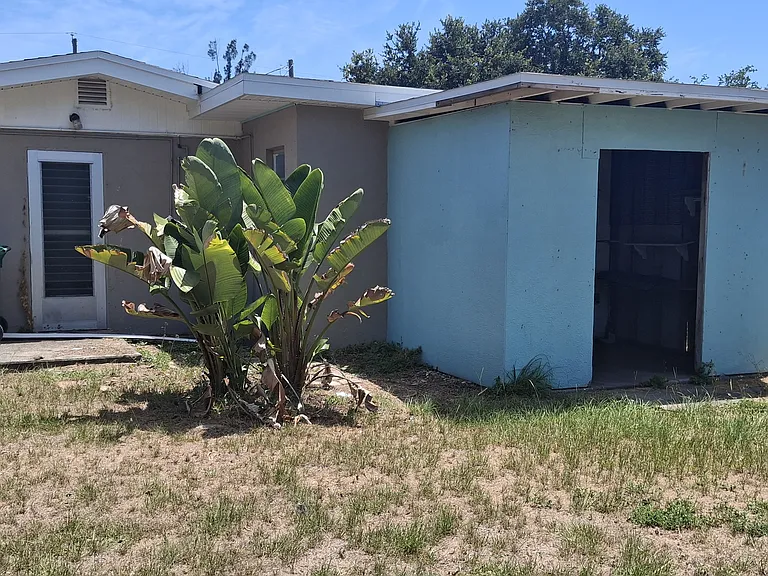 Shed with a push mower.