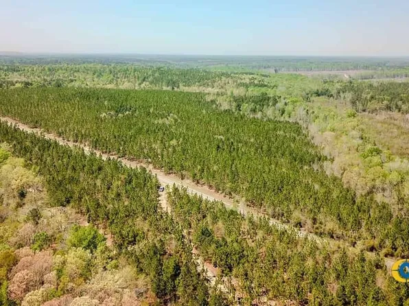 Buffalo Creek Rd, Jefferson, SC 29718