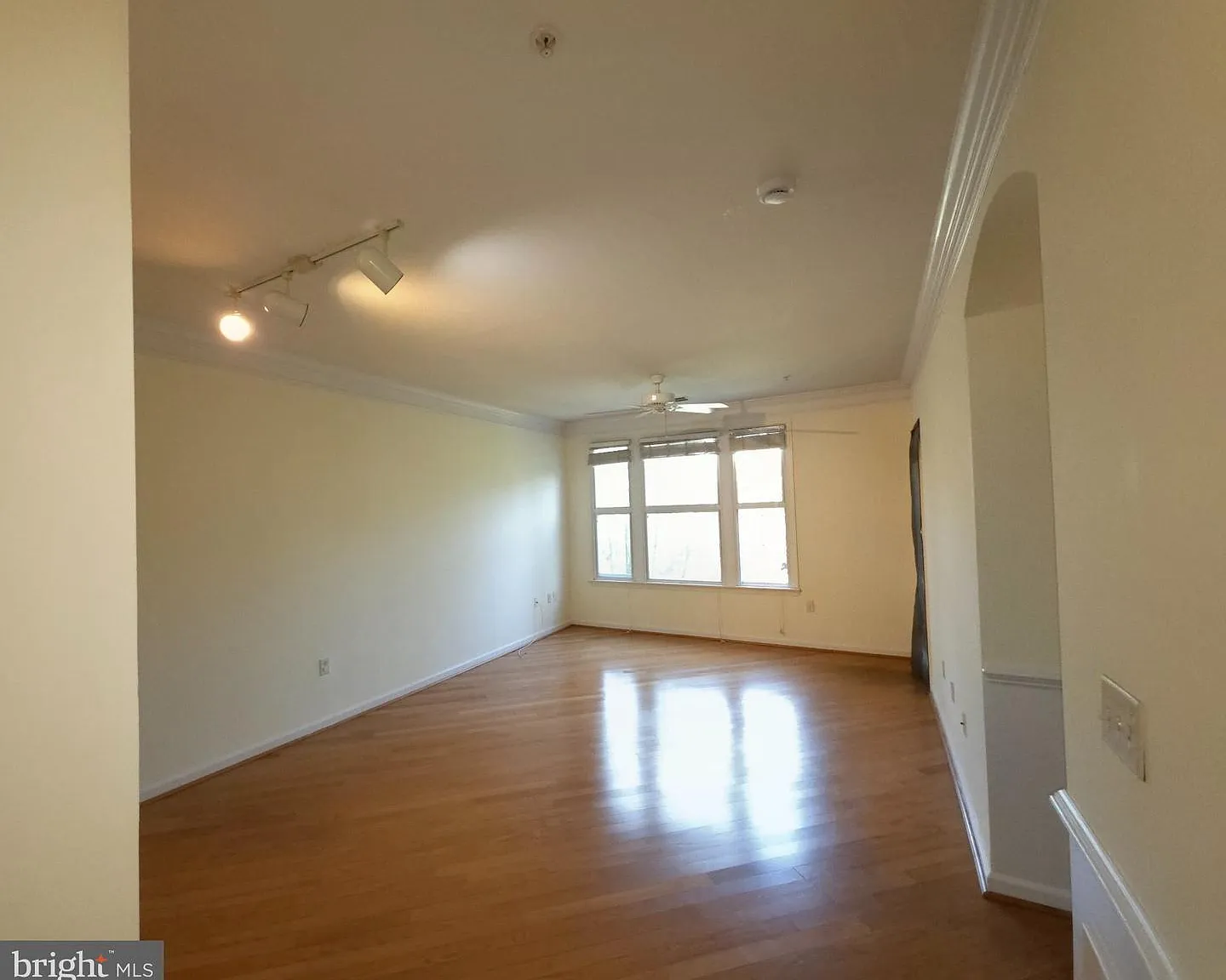 1 bed, 1.0 bath, 867 sqft, $2,050 — Photo 4