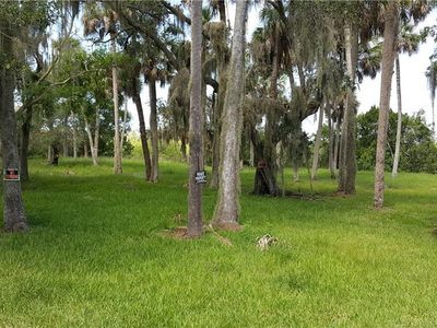 5400 Tropical Woods Ct, Port Richey, FL, 34668